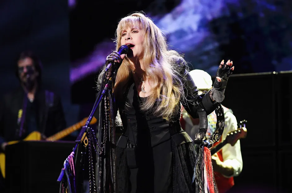 stevie nicks in concert