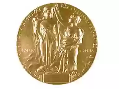 The Nobel Medal for Physics