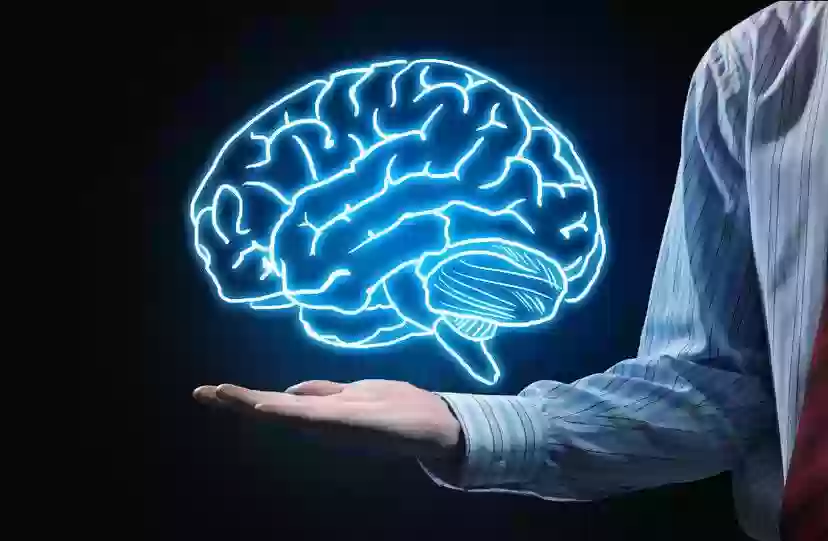 Brain development occurred only during youth