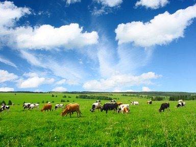 €35m investment for Irish dairy sector innovation